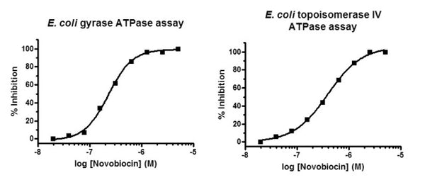 S. aureus Topoisomerase IV ATPase Assay Kit Plus – Figure 1 of 1