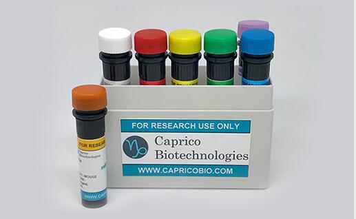 Caprico Proteins & Peptides