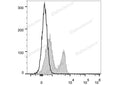 PE Anti-Mouse CD272/BTLA Antibody[PK18.6] – Figure 1 of 2