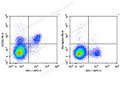 PE Anti-Mouse CD122/IL-2RB Antibody[5H4] – Figure 1 of 2
