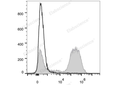 PE/Cyanine7 Anti-Mouse CD90.2/Thy1.2 Antibody[30H12] – Figure 1 of 2