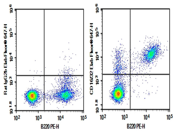 Purified Anti-Mouse CD16/32 Antibody[2.4G2] – Figure 1 of 2
