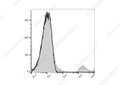 PE/Elab Fluor® 594 Anti-Human CD20 Antibody[BCA/B20] – Figure 3 of 5