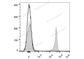 Elab Fluor® 647 Anti-Mouse CD8a Antibody[53-6.7] – Figure 3 of 5