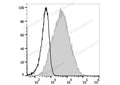 APC Anti-Mouse CD107a/LAMP-1 Antibody[1D4B] – Figure 1 of 2