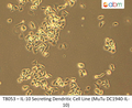 IL-10 Secreting Dendritic Cell Line (MuTu DC1940-IL-10) | Applied Biological Materials (abm)