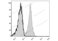 FITC Anti-Mouse CD19 Antibody[1D3] – Figure 1 of 2