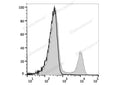 Elab Fluor® Red 780 Anti-Rat CD3 Antibody[G4.18] – Figure 3 of 5