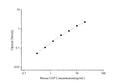 Uncoated Mouse LEP (Leptin) ELISA Kit – Figure 1 of 4