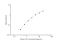 Mouse LH (Luteinizing Hormone) ELISA Kit – Figure 1 of 3