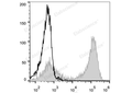 PE Anti-Mouse CD90.2/Thy1.2 Antibody[30H12] – Figure 1 of 2