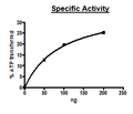 Wee1, GST-Th-Tag Recombinant – Figure 1 of 4