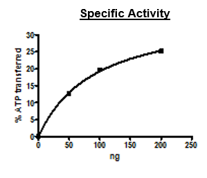 Wee1, GST-Th-Tag Recombinant – Figure 1 of 4