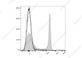 Elab Fluor® Red 780 Anti-Rat CD4(domain 1) Antibody[OX-38] – Figure 3 of 5