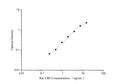 QuicKey Pro Rat LBP (Lipopolysaccharide Binding Protein) ELISA Kit – Figure 1 of 3