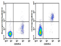 Purified Anti-Human CD74 Antibody[LN2] – Figure 1 of 2