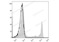 Elab Fluor® 488 Anti-Human CD8a Antibody[OKT-8] – Figure 3 of 5