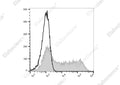 APC Anti-Mouse CD45.1 Antibody[A20] – Figure 1 of 2