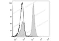 Elab Fluor® 488 Anti-Mouse CD19 Antibody[1D3] – Figure 3 of 5