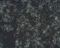 Zajdela-Hepatoma cell
